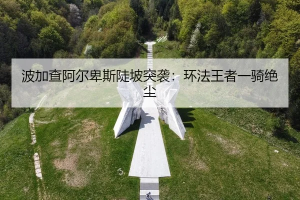 bo-jia-cha-a-er-bei-si-dou-po-tu-xi-huan-fa-wang-zhe-yi-qi-jue-chen-2-421.jpg