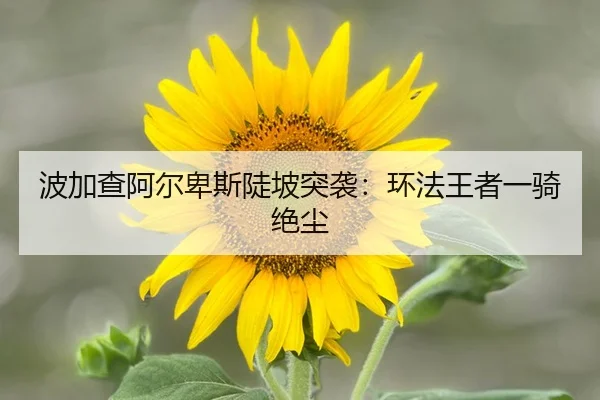 波加查阿尔卑斯陡坡突袭：环法王者一骑绝尘
